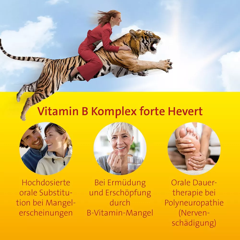 Vitamin B1, B6, B12 hochdosiert mit Vitamin B Komplex forte Hevert